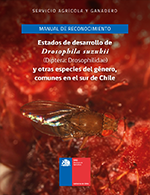 Manual de reconocimiento: Estado de desarrollo de Drosophila suzukii