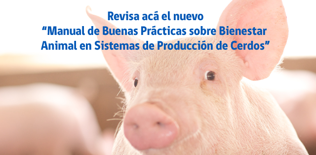 Manual Cerdos | SAG
