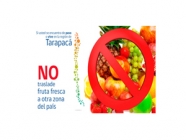 Súmate a la campaña de erradicación de la Mosca de la Fruta en la región de Tarapacá