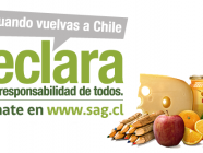 Declara, Chile es responsabilidad de todos.