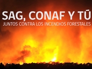 SAG, CONAF y Tú, juntos contra los incendios forestales