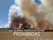 SAG Fiscaliza quemas agrícolas