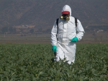SAG avanza hacia la equivalencia en plaguicidas de uso agrícola