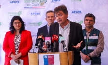 Ministro Valenzuela se refiere a la situación de la industria de huevos: “Evitemos alarmas innecesarias” 