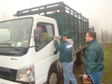Fiscalizadores SAG piden Formulario de Movimiento Animal a camión que traslada animales.
