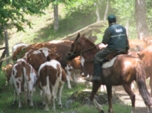 Funcionario SAG participando de las veranadas a caballo