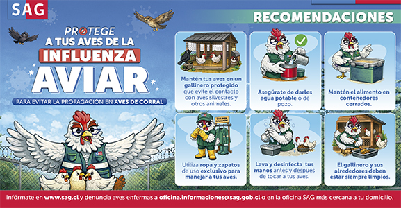 Recursos para difusión