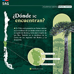 Bosques_2