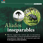 Bosques_5