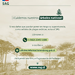 Bosques_6