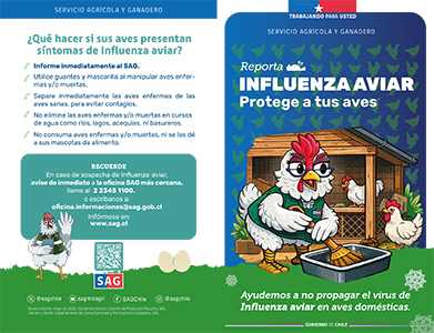 díptico aves domesticas