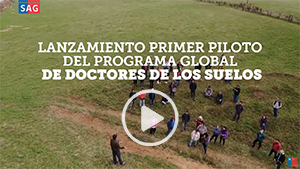 Doctores del suelo