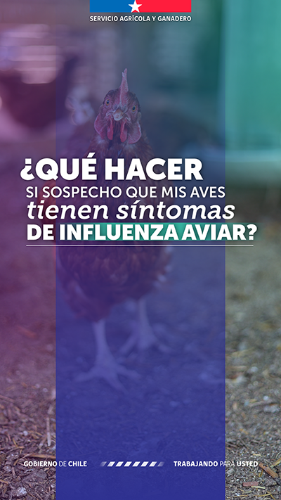 portada que hacer