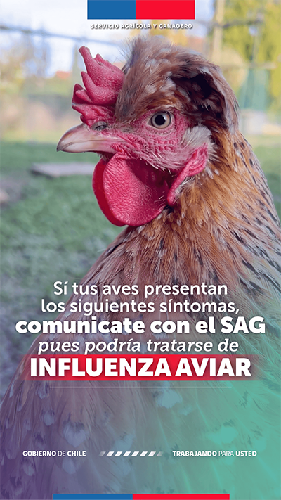 portada atención