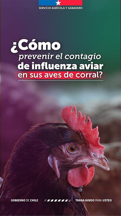 Portada como prevenir