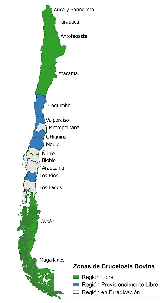 mapas brucelosis