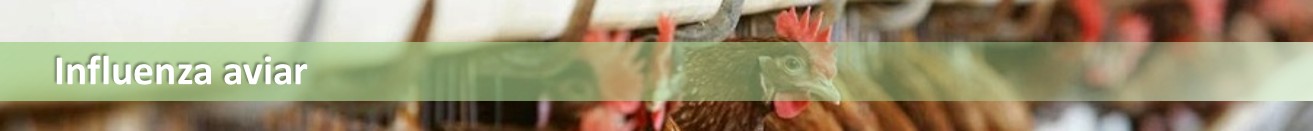 slider_IA_web