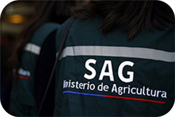 Solicitud siembra cannabis