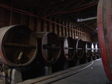 SAG modifica normativa que rige a la industria del vino