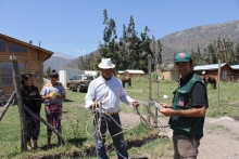 • La iniciativa tiene como objetivo dar a conocer a las personas las principales características de este animal y las precauciones que se deben adoptar en caso de encontrarse con uno