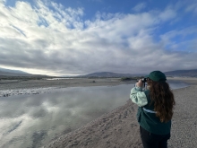 Renuevan periodo de prohibición de caza en humedal del río Huasco