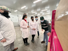 Sitio de Inspección SAG / USDA – APHIS / ASOEX