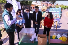 Ministerio de Agricultura y SAG lanzan campaña ciudadana “Por si las Moscas” para reforzar control y prevención de la mosca de la fruta