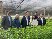 Subsecretario de Agricultura anuncia renovación del Seguro Colectivo Catastrófico para Mosca de la Fruta