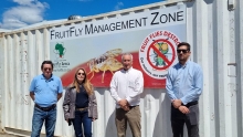SAG conoce experiencias de Sudáfrica para fortalecer el control de la mosca de la fruta