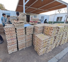 SAG Tarapacá: continúan las incautaciones de productos agropecuarios de alto riesgo