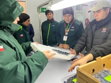 SAG Biobío supervisa Convenio de Inspección Fitosanitaria con empresas exportadoras de frutas